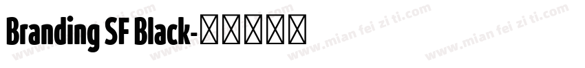 Branding SF Black字体转换
